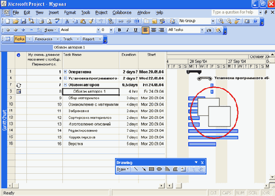 Microsoft Project 2003  
