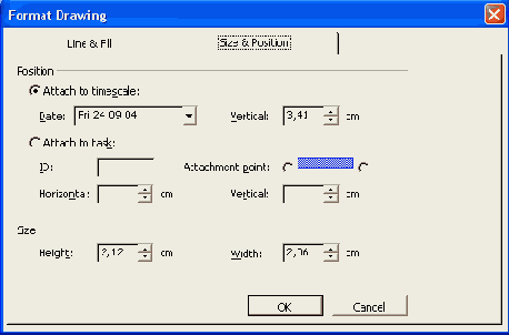 Microsoft Project 2003  
