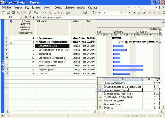 Microsoft Project 2003  
