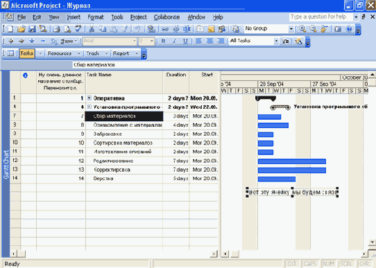 Microsoft Project 2003  
