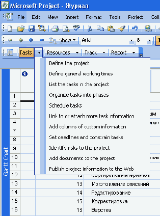 Microsoft Project 2003  
