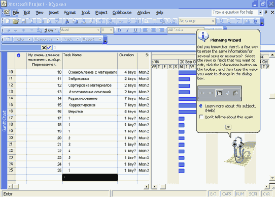 Microsoft Project 2003  
