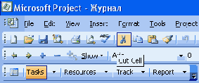 Microsoft Project 2003  
