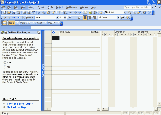 Microsoft Project 2003  

