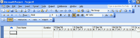 Microsoft Project 2003  
