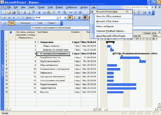 Microsoft Project 2003  

