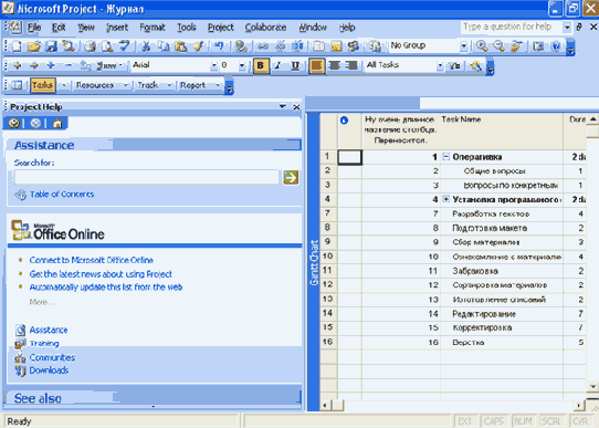 Microsoft Project 2003  
