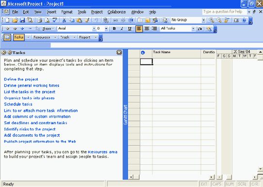 Microsoft Project 2003  
