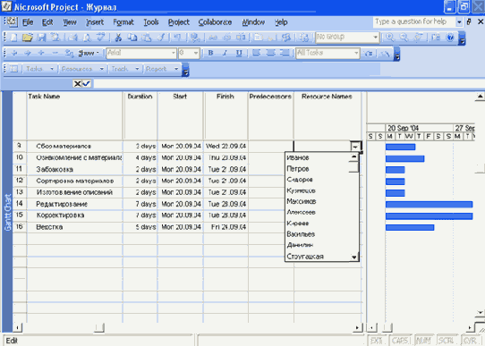 Microsoft Project 2003  
