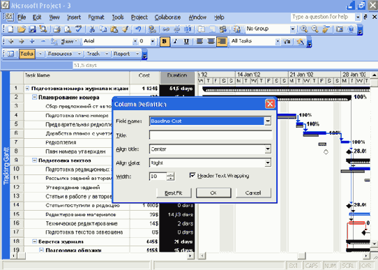 Microsoft Project 2003  
