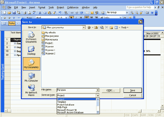 Microsoft Project 2003  
