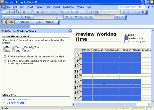 Microsoft Project 2003  
