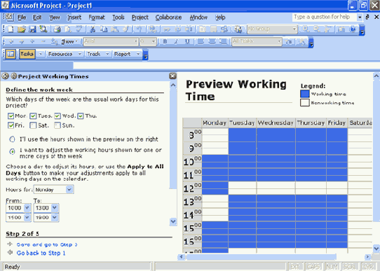 Microsoft Project 2003  
