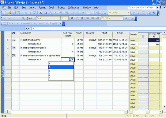 Microsoft Project 2003  
