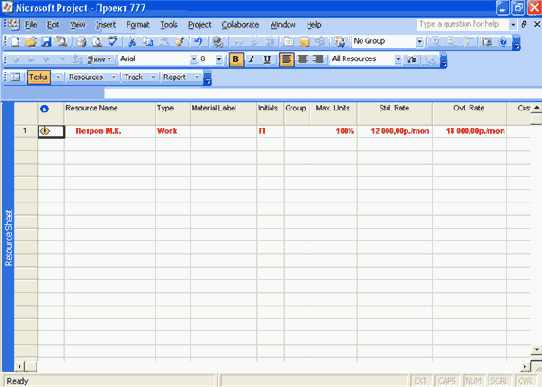 Microsoft Project 2003  
