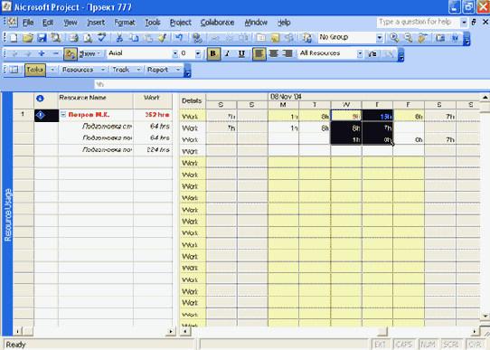 Microsoft Project 2003  
