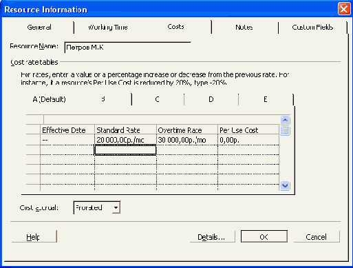 Microsoft Project 2003  
