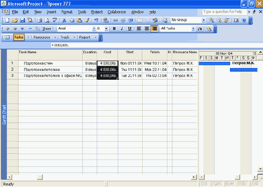 Microsoft Project 2003  
