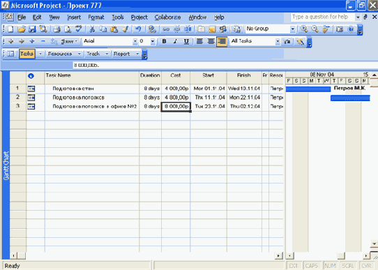 Microsoft Project 2003  
