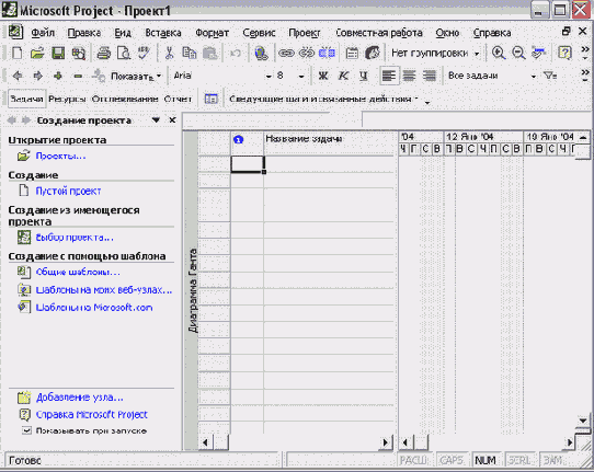 Microsoft Project - 
