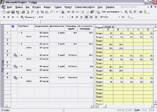 Microsoft Project - 
