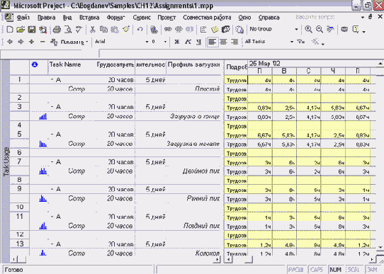 Microsoft Project - 
