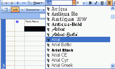  Microsoft Project