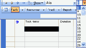  Microsoft Project
