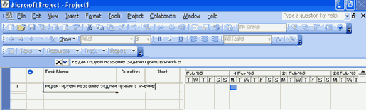  Microsoft Project