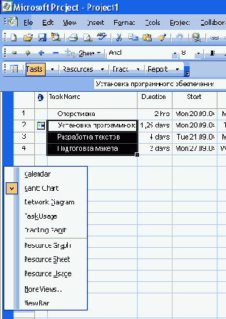  Microsoft Project