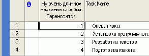  Microsoft Project