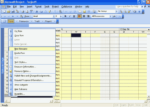  Microsoft Project