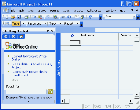  Microsoft Project