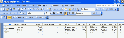  Microsoft Project