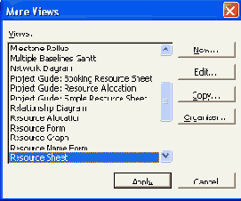  Microsoft Project