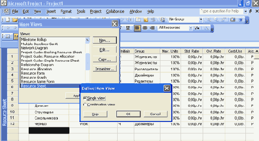  Microsoft Project