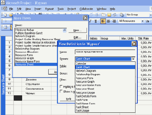 Microsoft Project