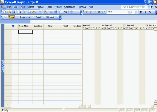  Microsoft Project