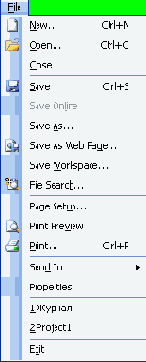  Microsoft Project