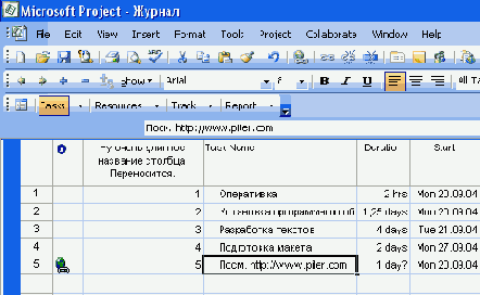  Microsoft Project