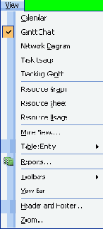  Microsoft Project
