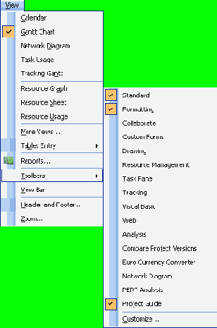  Microsoft Project