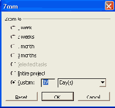  Microsoft Project