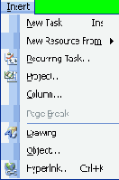  Microsoft Project