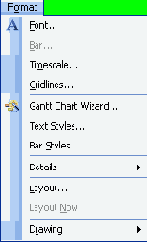  Microsoft Project