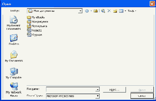  Microsoft Project