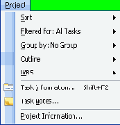  Microsoft Project