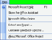  Microsoft Project
