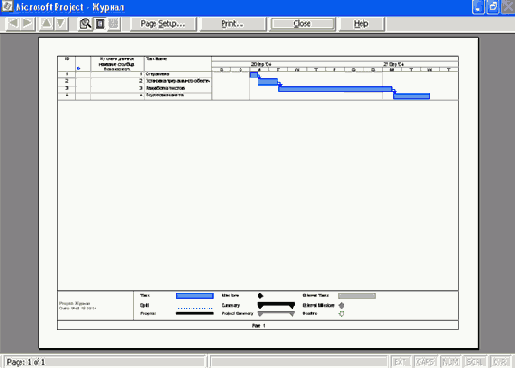  Microsoft Project