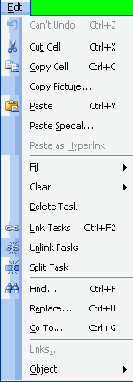  Microsoft Project
